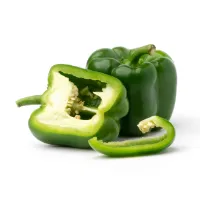 토마토 치즈 파스타