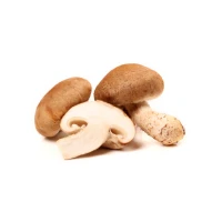 슈퍼 콤비네이션 L